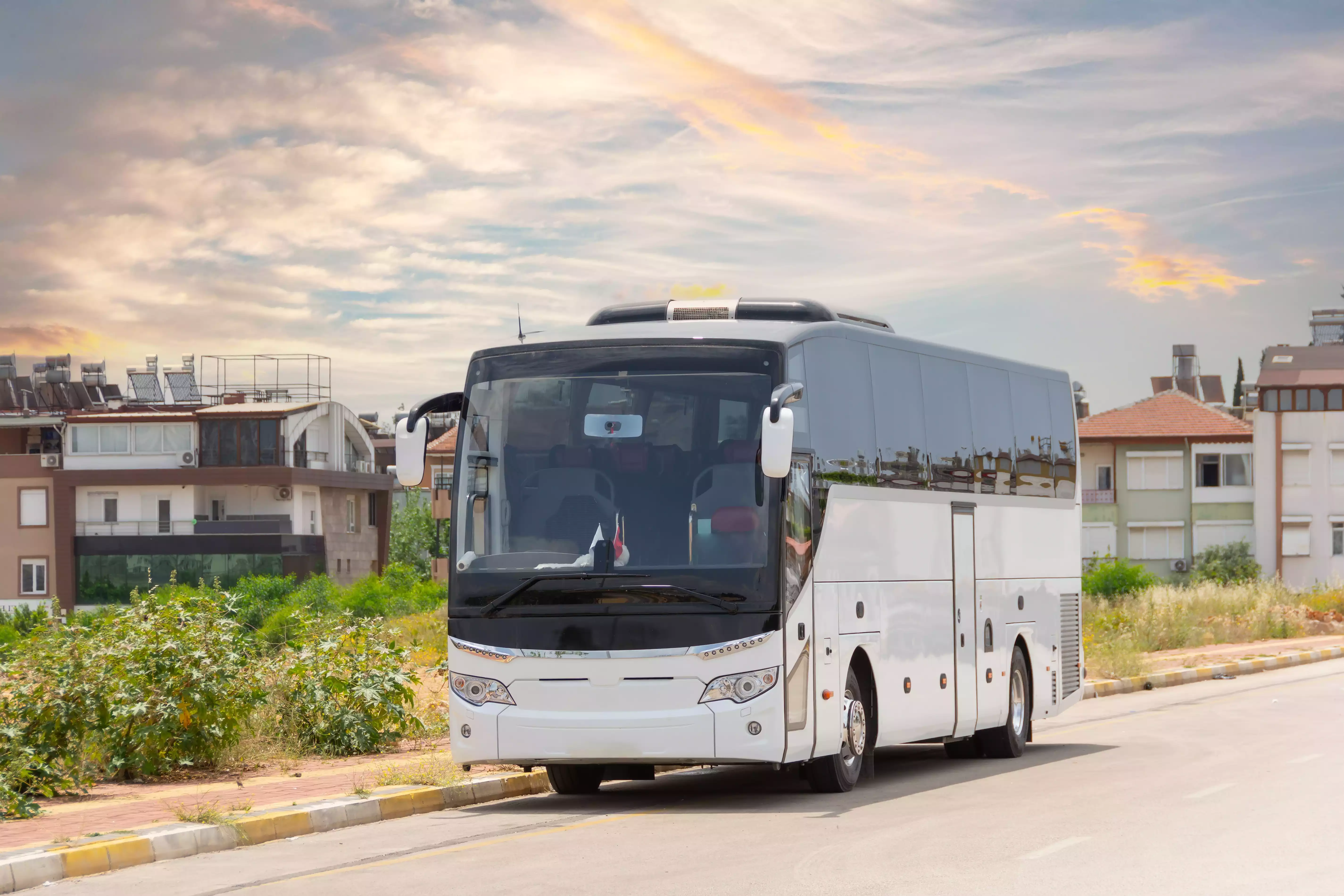 Buses